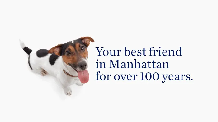 The Schwarzman Animal Medical Center 1