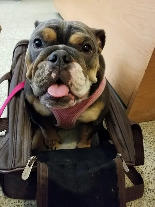 Gramercy Park Animal Hospital 5