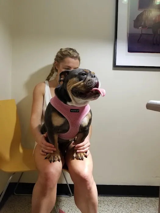 Gramercy Park Animal Hospital 4