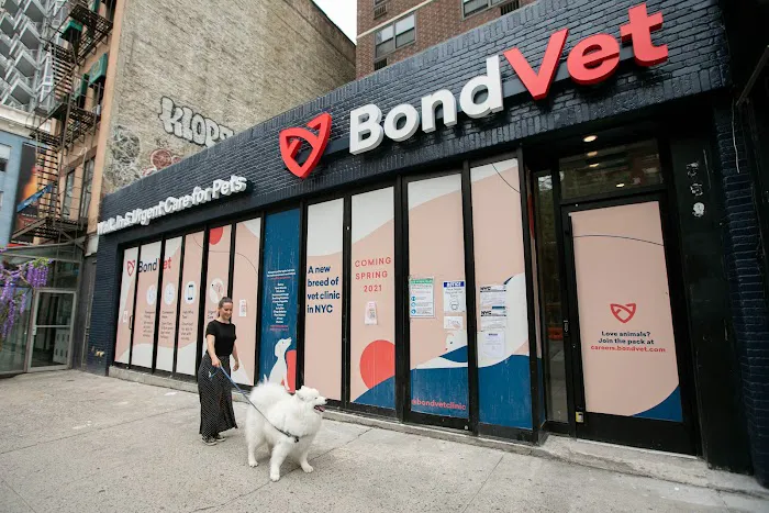 Bond Vet - Kips Bay 2