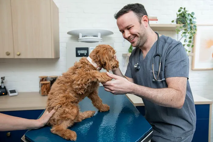 Bond Vet - Kips Bay 7