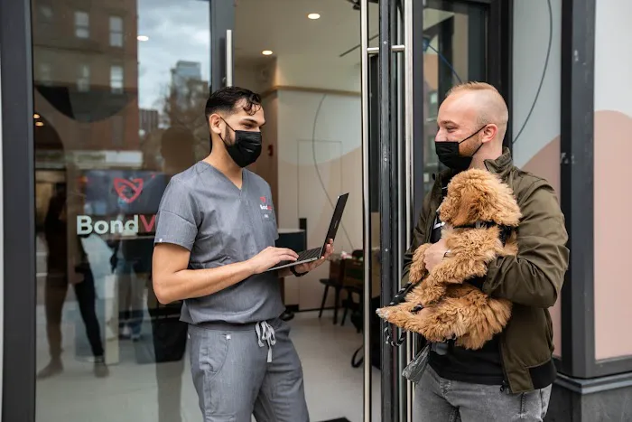 Bond Vet - Kips Bay 3