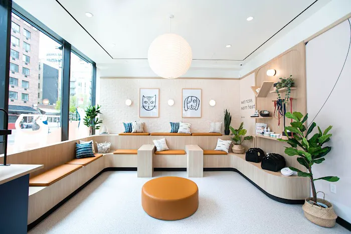 Bond Vet - Kips Bay 8