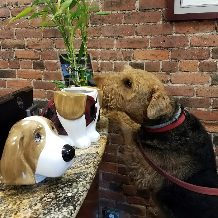 Abingdon Square Veterinary Clinic 3