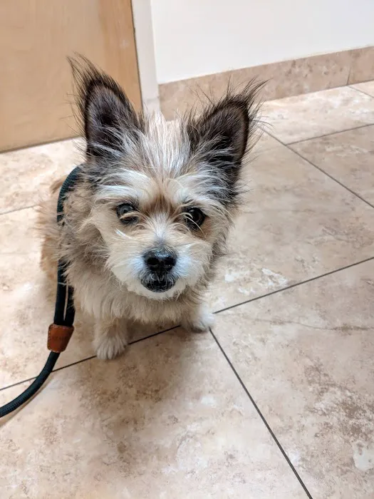 Abingdon Square Veterinary Clinic 2