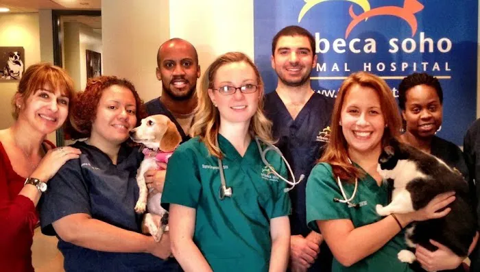Tribeca Soho Animal Hospital 2