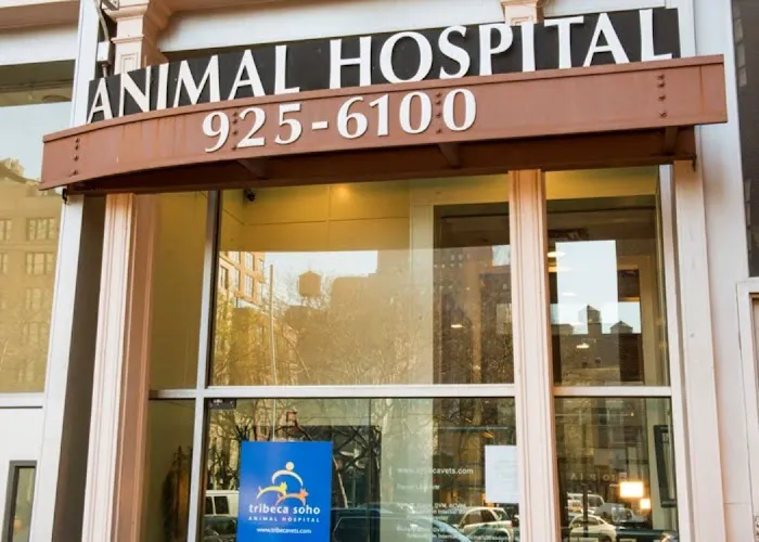 Tribeca Soho Animal Hospital 1