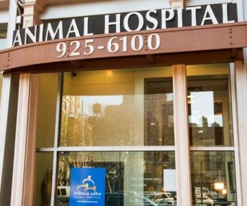 Tribeca Soho Animal Hospital