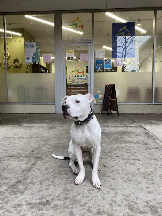 Tribeca Soho Animal Hospital 9
