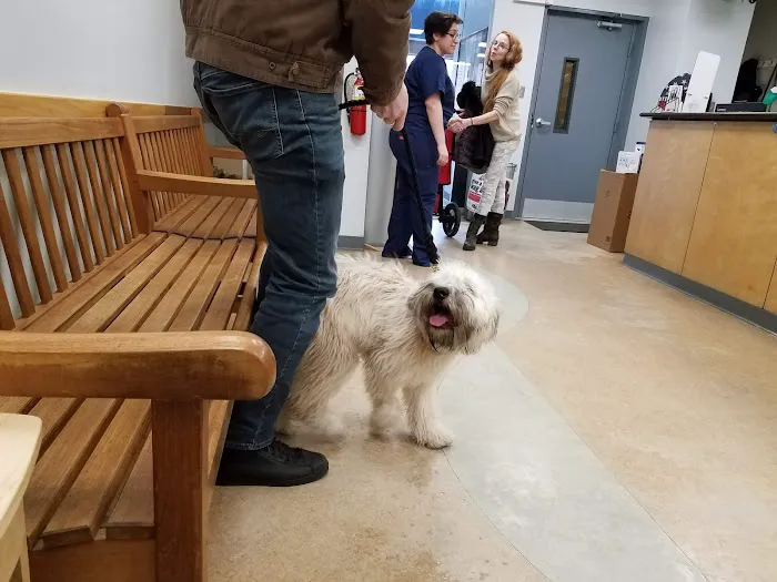 Tribeca Soho Animal Hospital 3