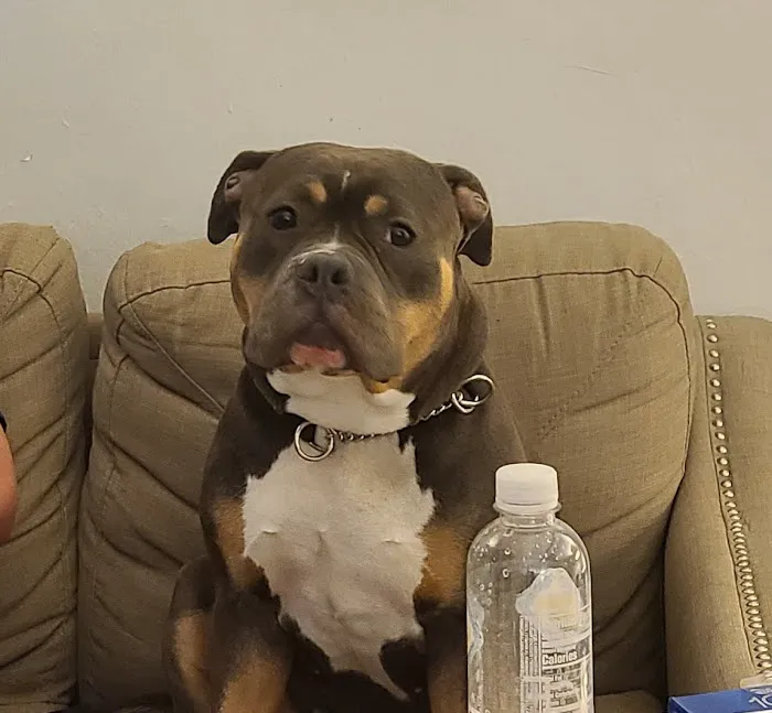 Worth Street Veterinary Center 12