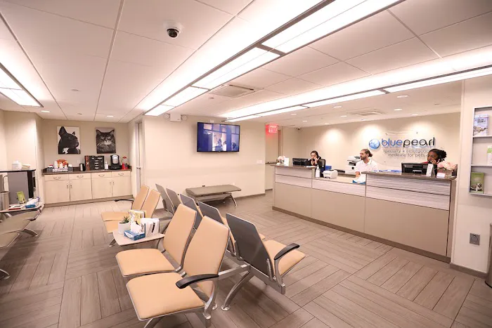 BluePearl Pet Hospital Downtown NYC 10