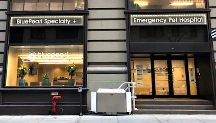 BluePearl Pet Hospital Downtown NYC 1