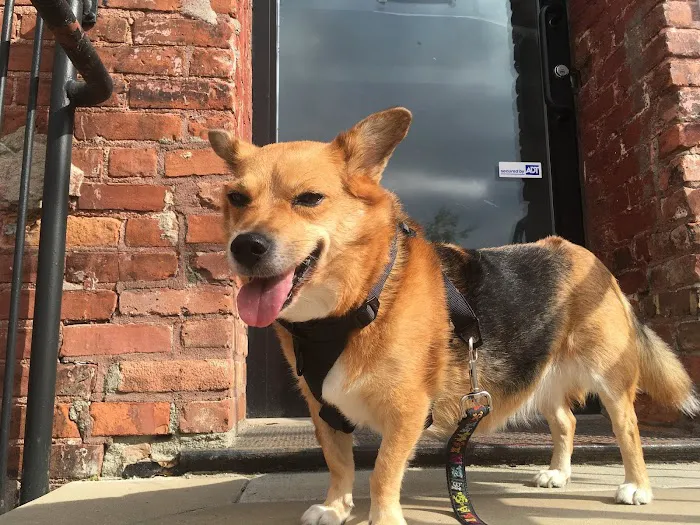 BluePearl Pet Hospital Downtown NYC 7