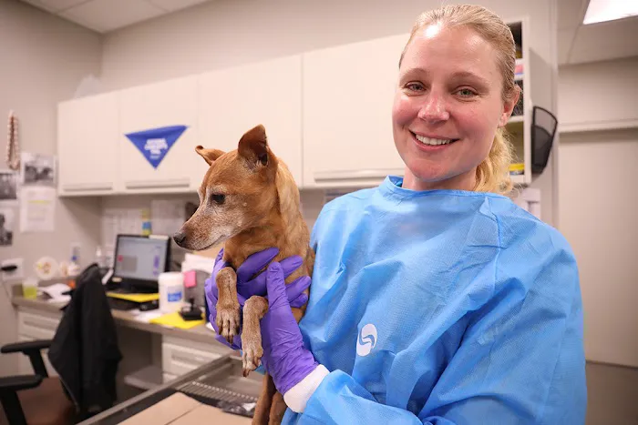 BluePearl Pet Hospital Downtown NYC 5