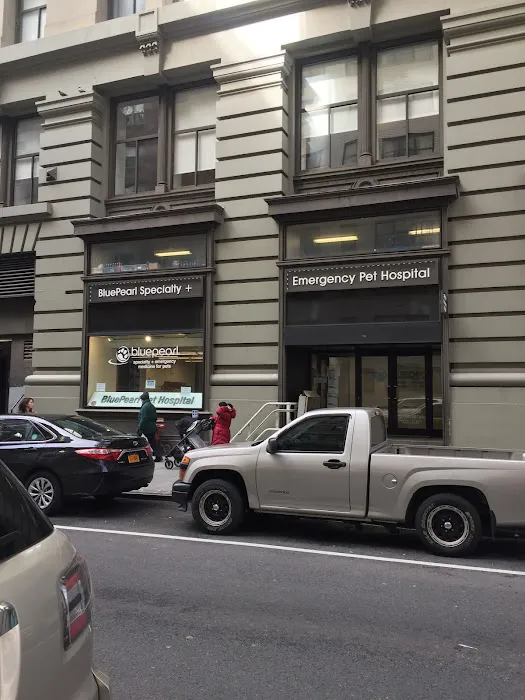 BluePearl Pet Hospital Downtown NYC 8