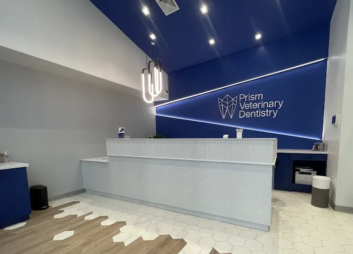 Prism Veterinary Dentistry 12