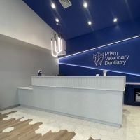 Prism Veterinary Dentistry ico