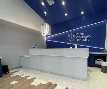 Prism Veterinary Dentistry