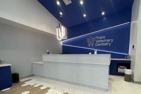 Prism Veterinary Dentistry