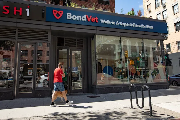 Bond Vet - Chelsea 10