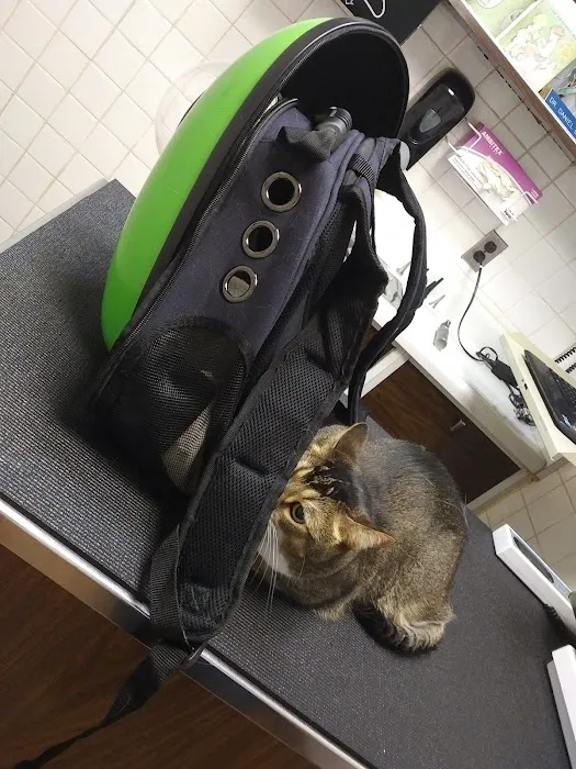 Murray Hill Pet Hospital 7