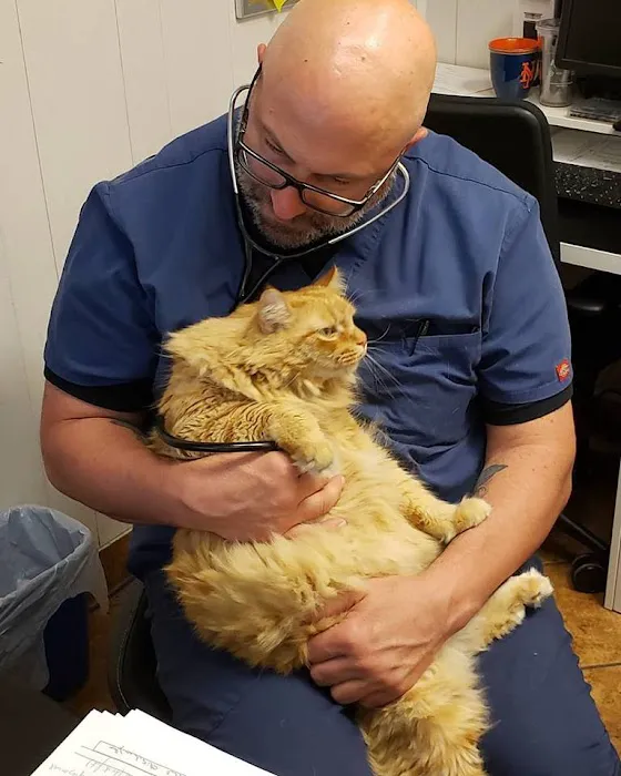 Murray Hill Pet Hospital 2