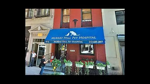 Murray Hill Pet Hospital 1