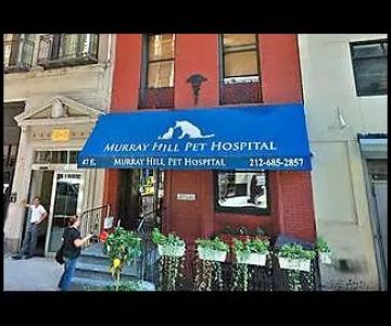 Murray Hill Pet Hospital
