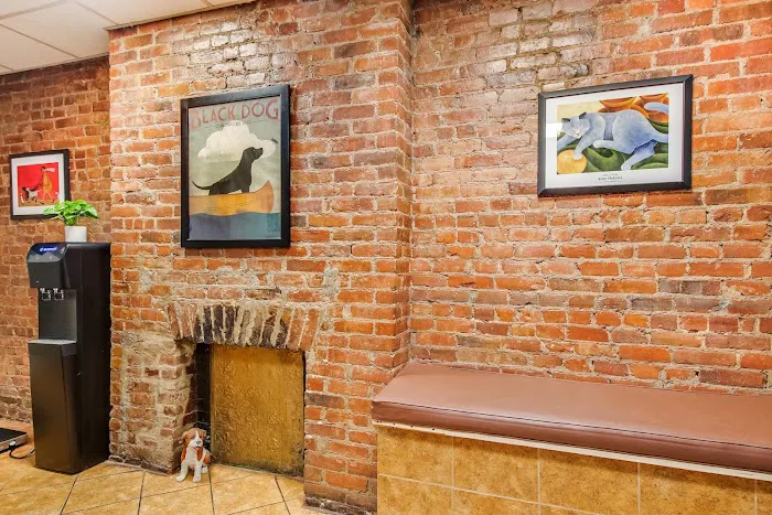Murray Hill Pet Hospital 4