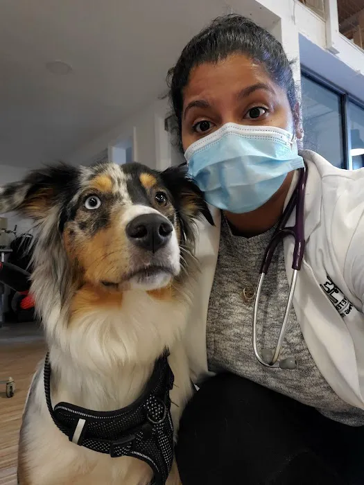 HEAL Veterinary Hospital 5