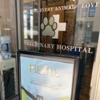 HEAL Veterinary Hospital ico