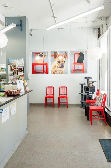 Seaport Animal Hospital 7
