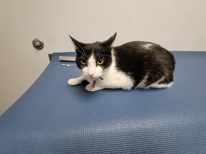 Seaport Animal Hospital 3