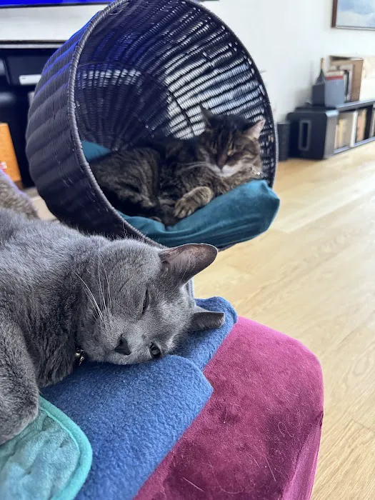 Seaport Animal Hospital 6