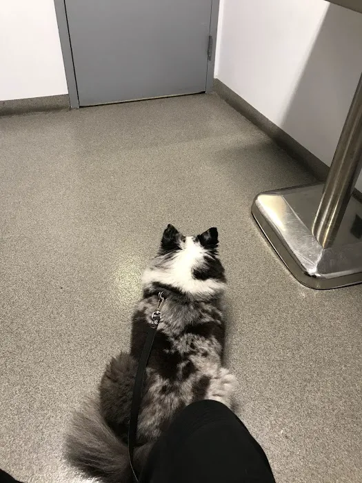 Seaport Animal Hospital 8