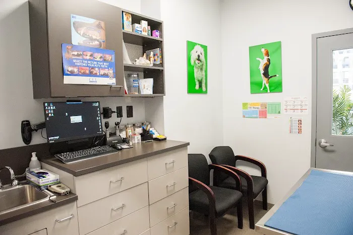 Seaport Animal Hospital 2
