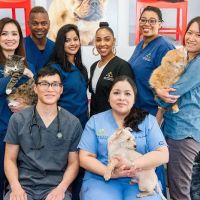 Seaport Animal Hospital ico