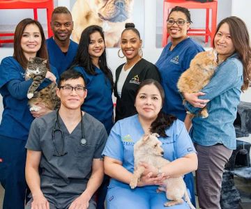 Seaport Animal Hospital