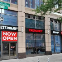 Veterinary Emergency Group ico