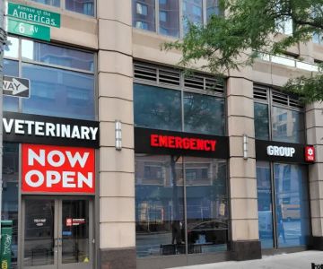Veterinary Emergency Group