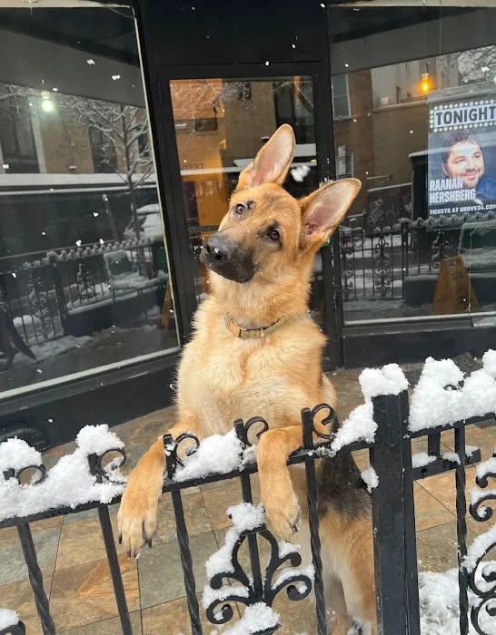 Animal Clinic of Long Island City 3