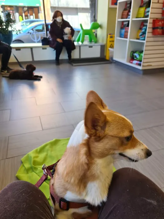 Animal Clinic of Long Island City 5