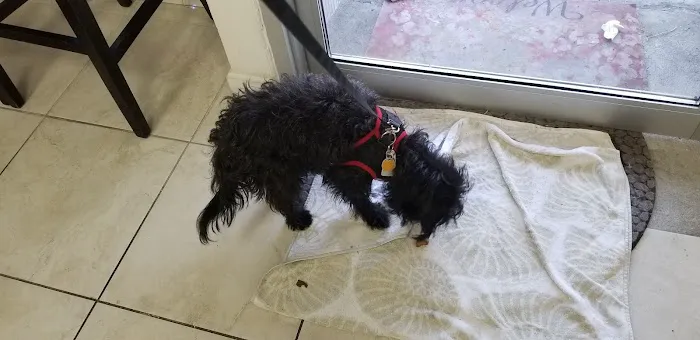 Skillman Animal Clinic 12