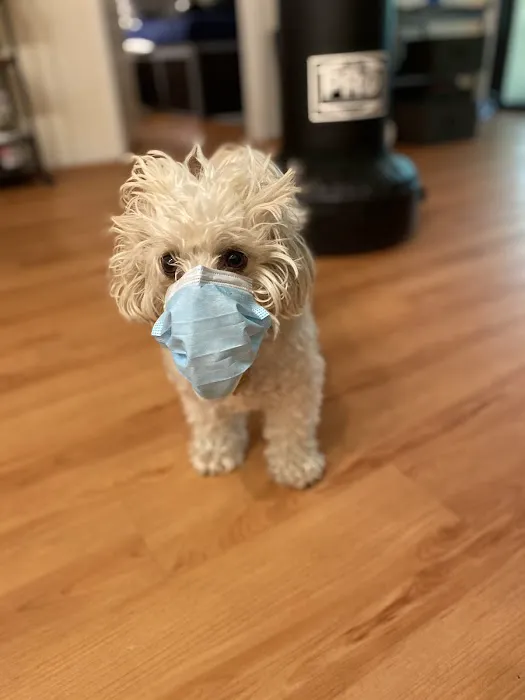 Skillman Animal Clinic 12