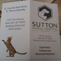 Sutton Animal Hospital ico