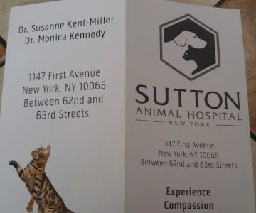 Sutton Animal Hospital