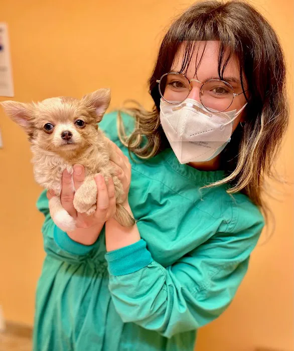 Kalvig and Shorter Veterinary Associates 3