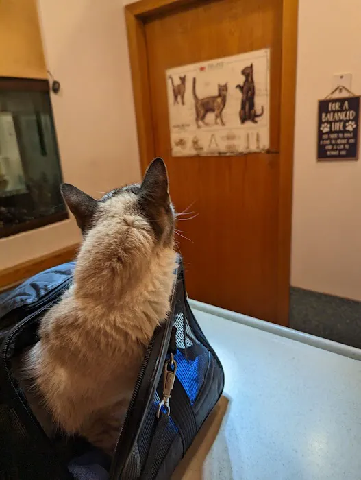 Animal Clinic of Queens 12