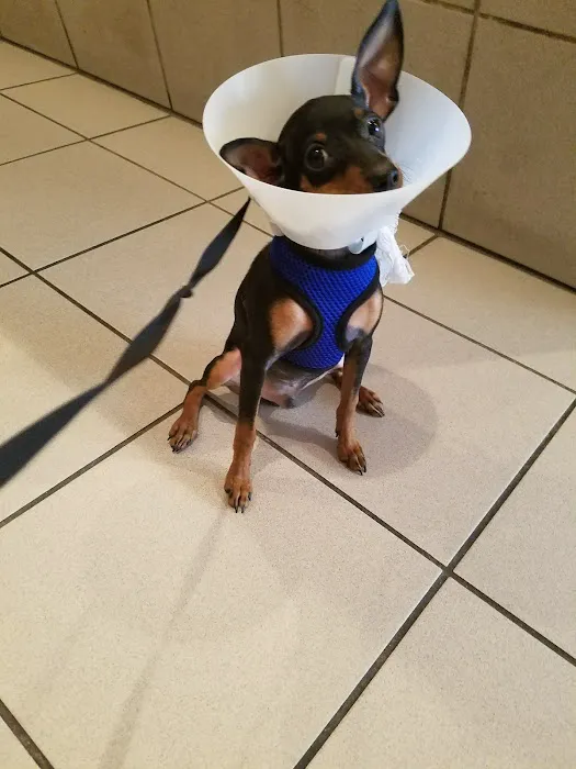 Animal Clinic of Queens 12